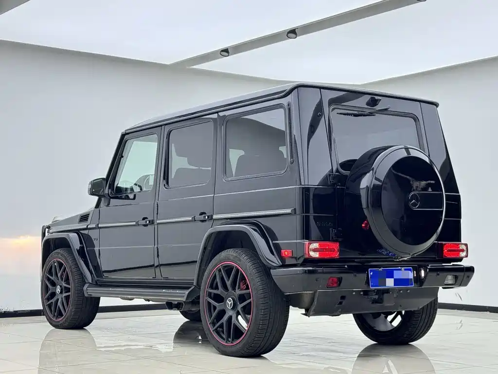 Mercedes-Benz G-Class 2018 — фото 14