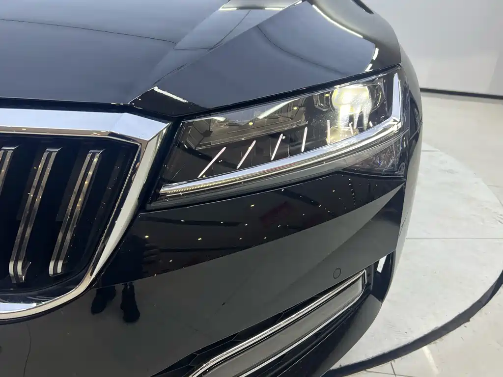 Skoda Speedy 2024