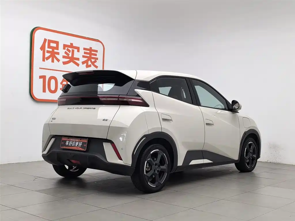 BYD Seagull 2023 — фото 2
