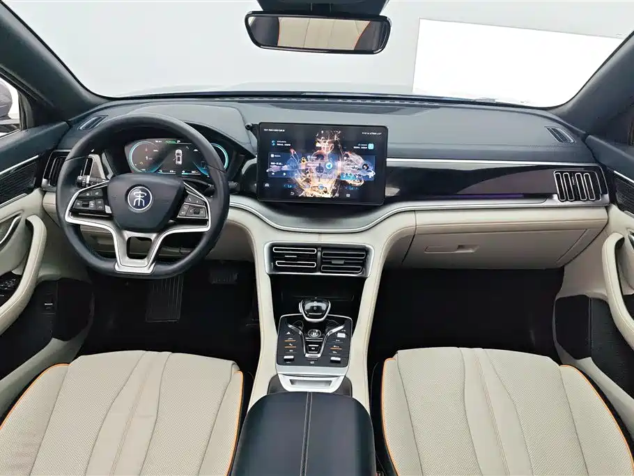BYD PLUS New Energy 2023 — фото 12