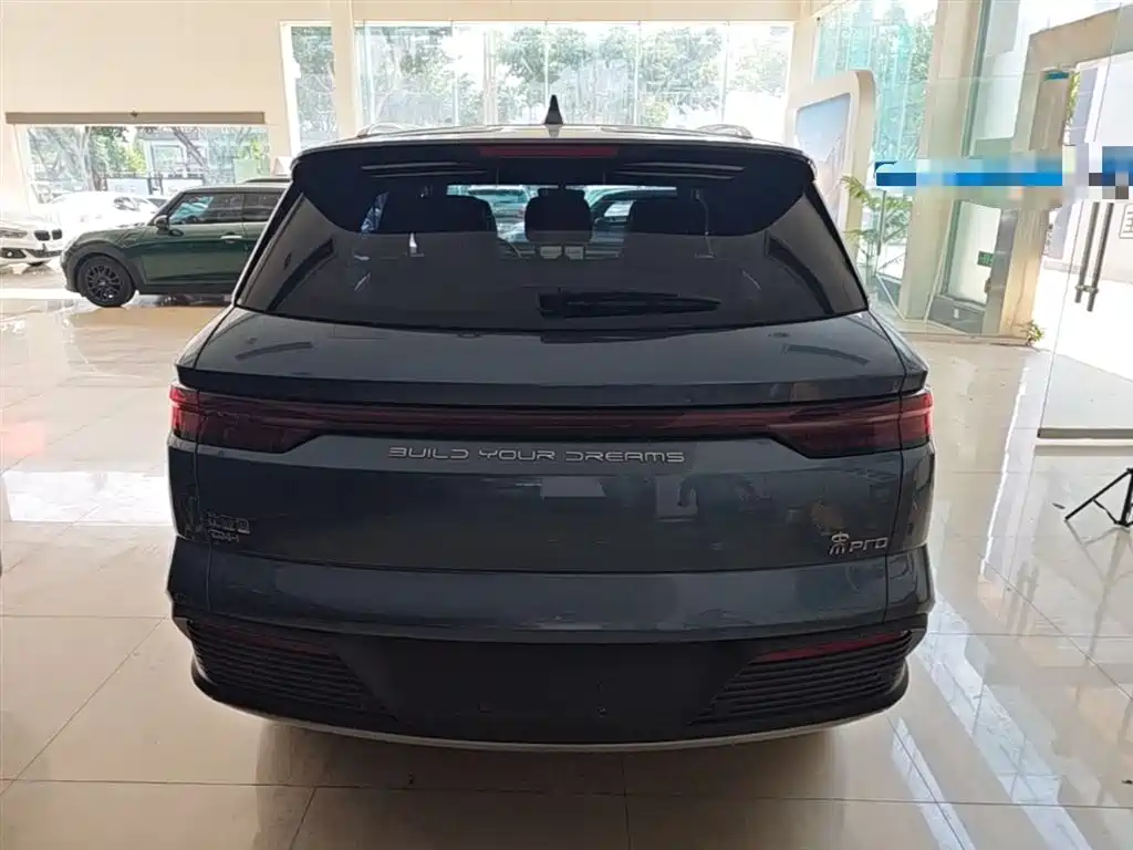 BYD Pro New Energy 2024 — фото 6