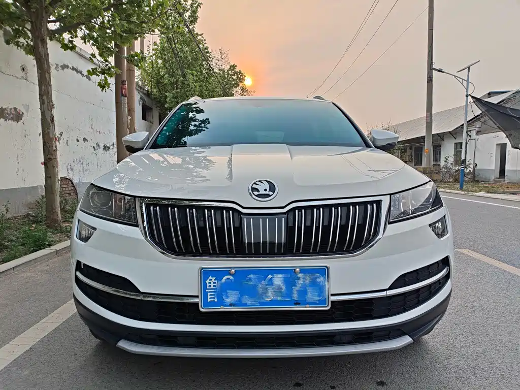 Skoda Karoq 2020 — фото 2