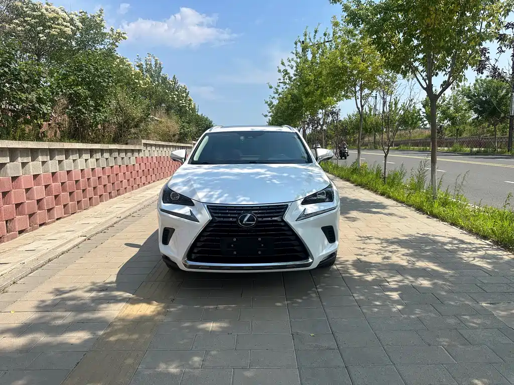 Lexus NX 2021