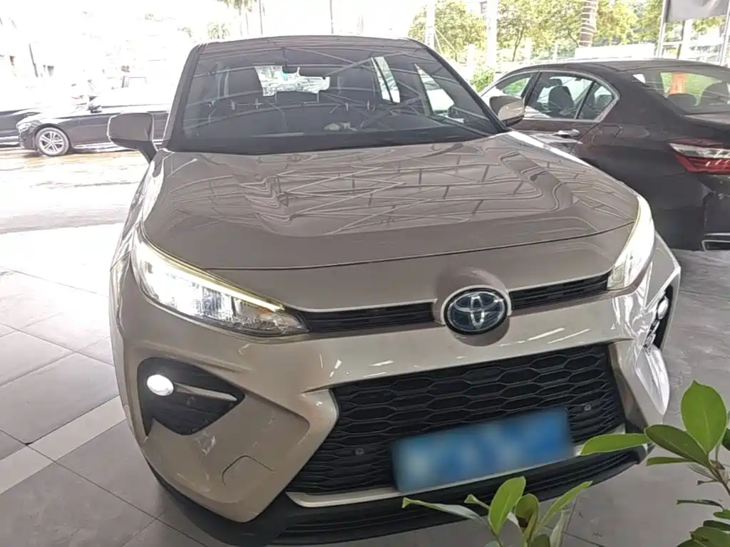 Toyota Wildlander 2020