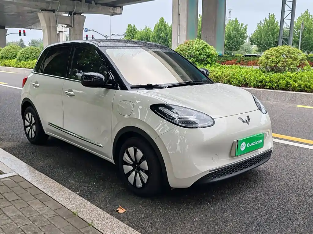 Wuling Bingo 2024