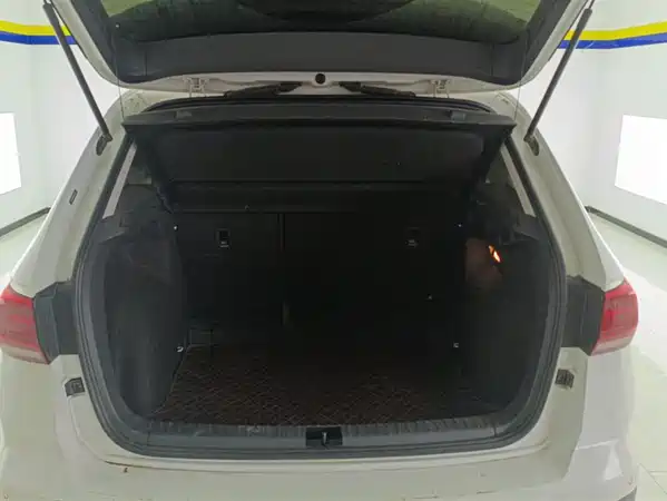 Volkswagen Tharu 2019