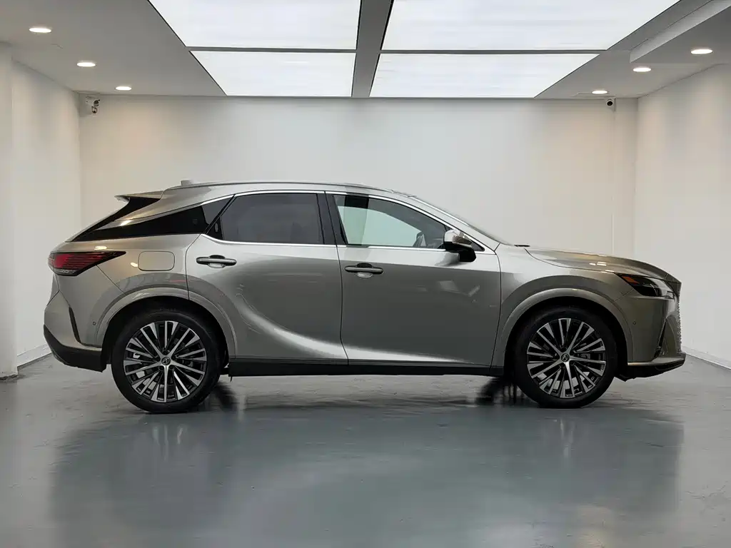 Lexus RX New Energy 2023 — фото 4