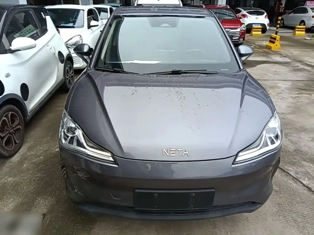 Neta V 2021
