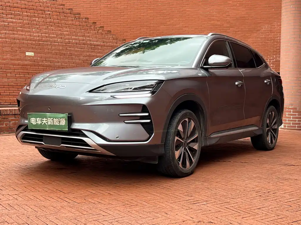 BYD PLUS New Energy 2024