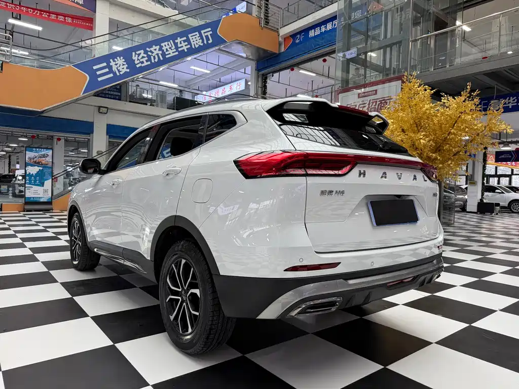 Haval H6 2022 — фото 18