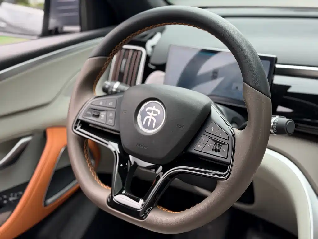 BYD Pro New Energy 2023 — фото 9