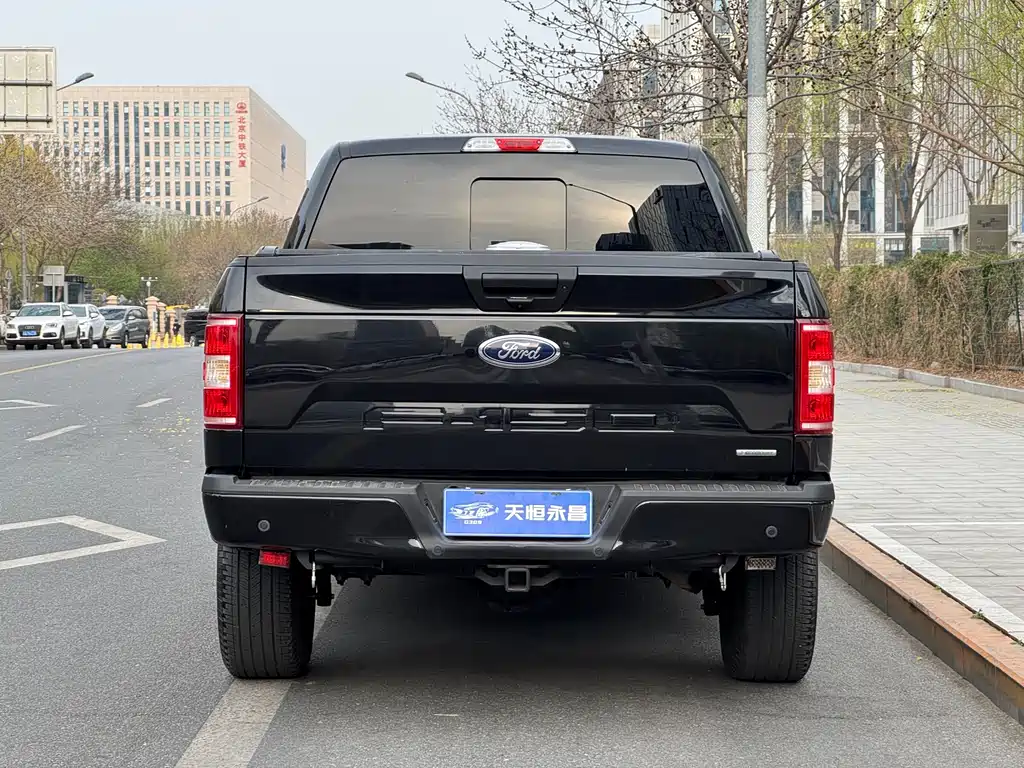 Ford F-150 Raptor 2020 — фото 28