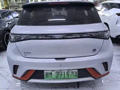 BYD Dolphin 2023