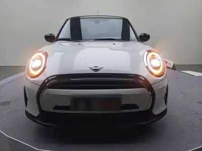 MINI MINI 2024