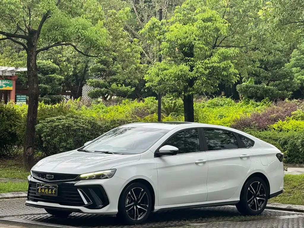Geely Binrui 2023