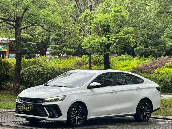 Geely Binrui 2023