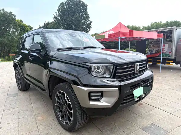 Tank 700 New Energy 2024