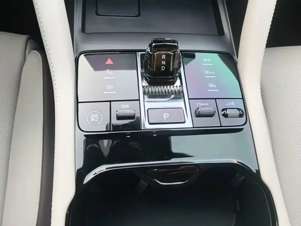BYD Song PLUS New Energy 2025 — фото 14