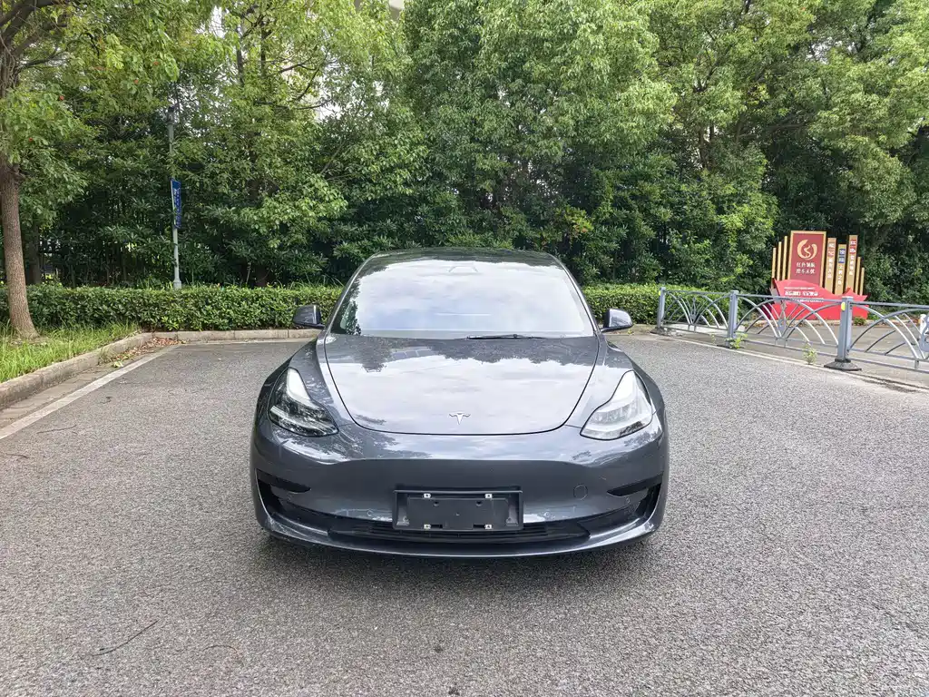 Tesla Model 3 2021 — фото 2
