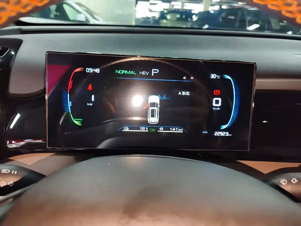 BYD Song Pro New Energy 2024 — фото 12