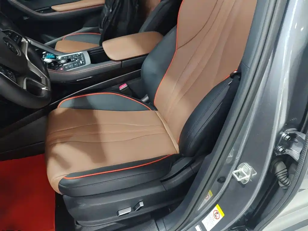 BYD Song PLUS New Energy 2022 — фото 15