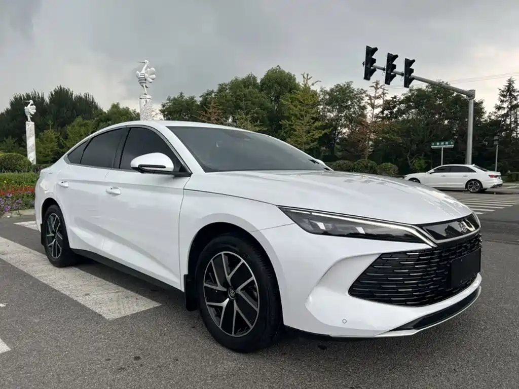 BYD Qin L 2024 — фото 14