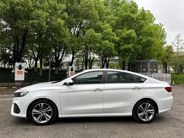 Geely Binrui 2019