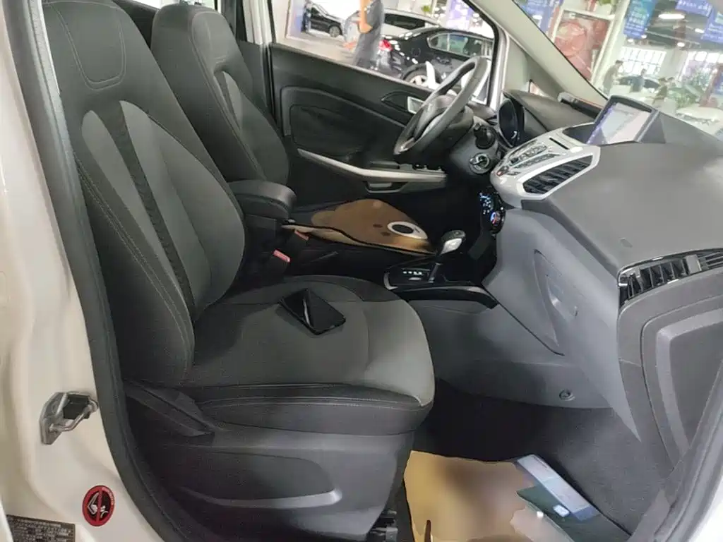 Ford EcoSport 2015 — фото 25