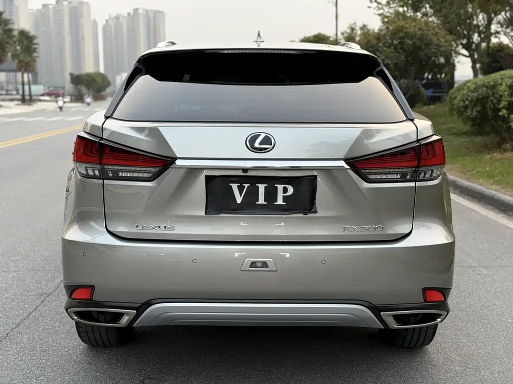 Lexus RX 2020 — фото 3