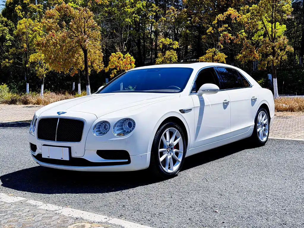 Bentley Flying Spur 2020 — фото 15