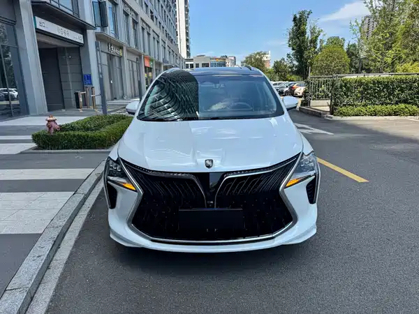 Dongfeng Popular Yacht 2023