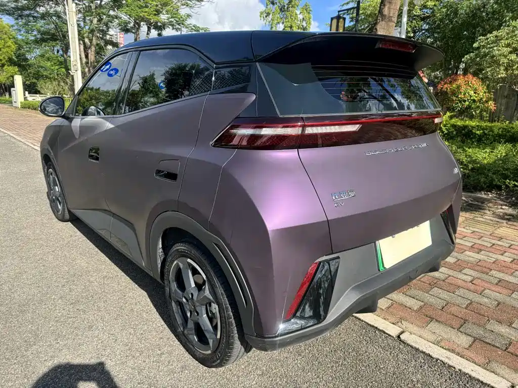 BYD Seagull 2024