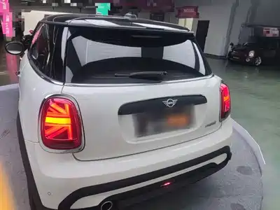 MINI MINI 2024