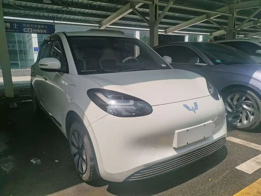 Wuling Bingo 2024