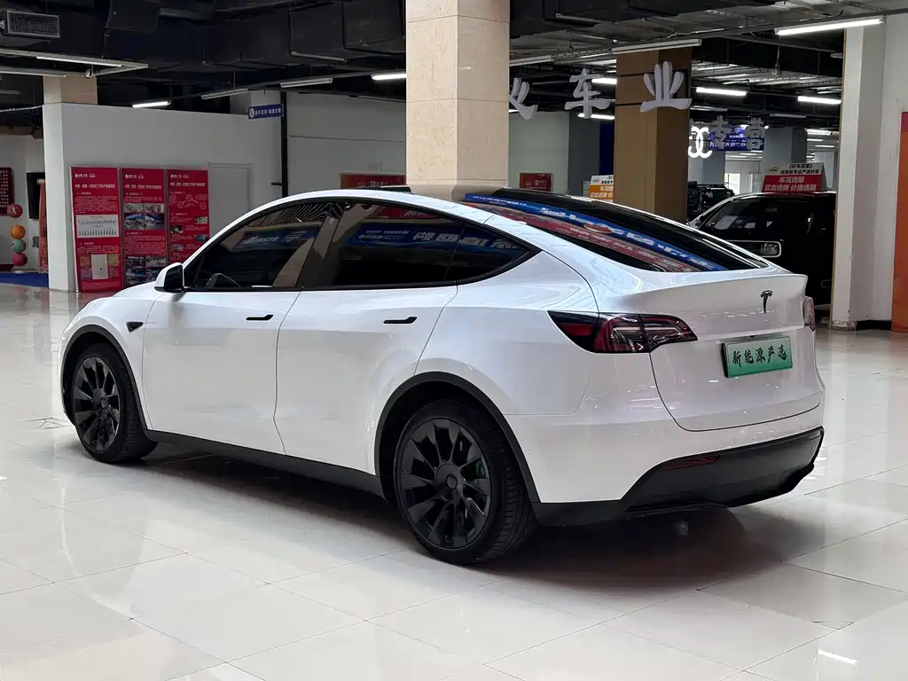 Tesla Model Y 2021 — фото 6