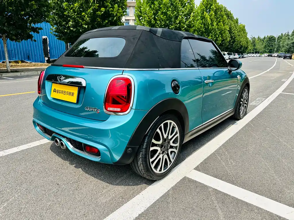 MINI MINI 2018 — фото 11