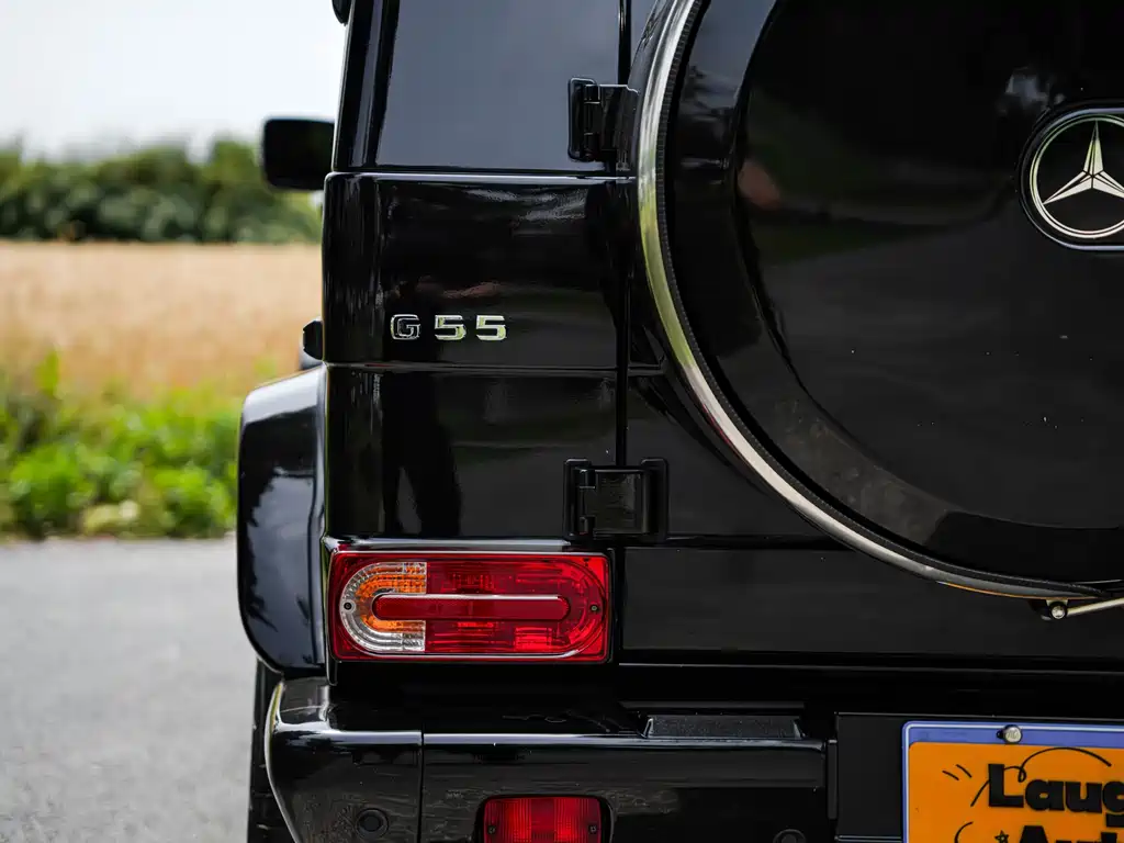 Mercedes-Benz G-Class AMG 2009 — фото 14