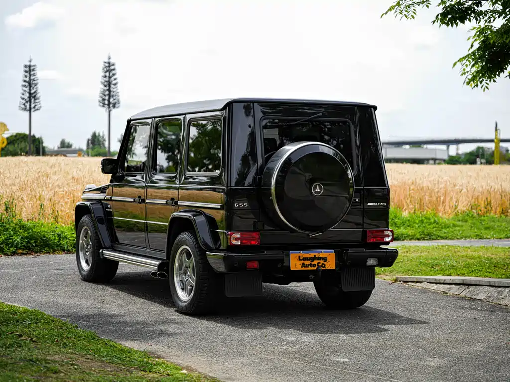 Mercedes-Benz G-Class AMG 2009 — фото 10
