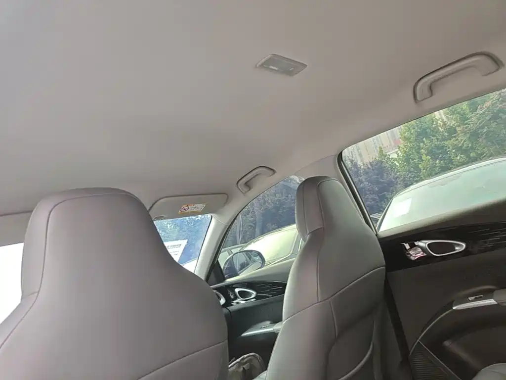 Geely Galaxy Starwish 2026 — фото 18