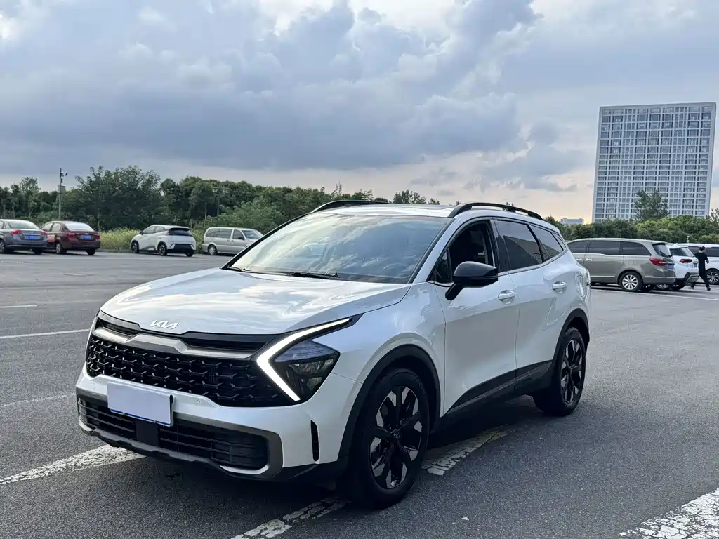Kia Lion Platinum Expands The Boundary 2024 — фото 1