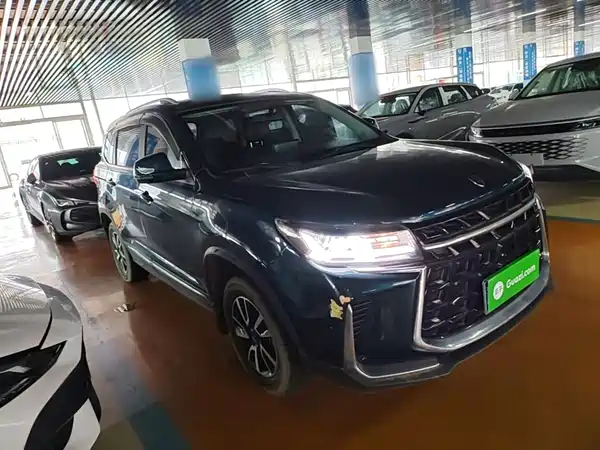 Dongfeng Fengxing T5 2023