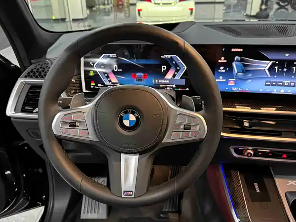BMW X5 2025