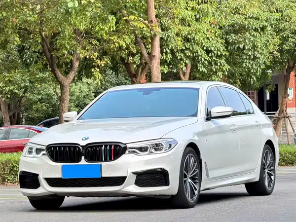 BMW 5 Series 2019
