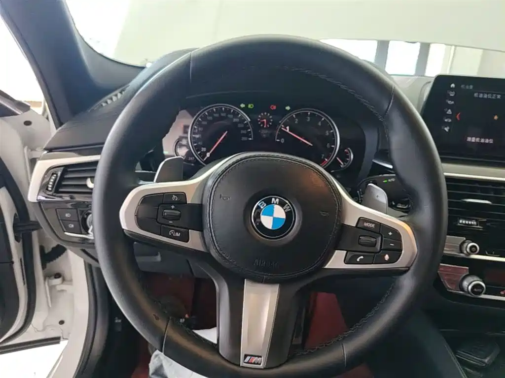 BMW 5 Series 2018 — фото 10