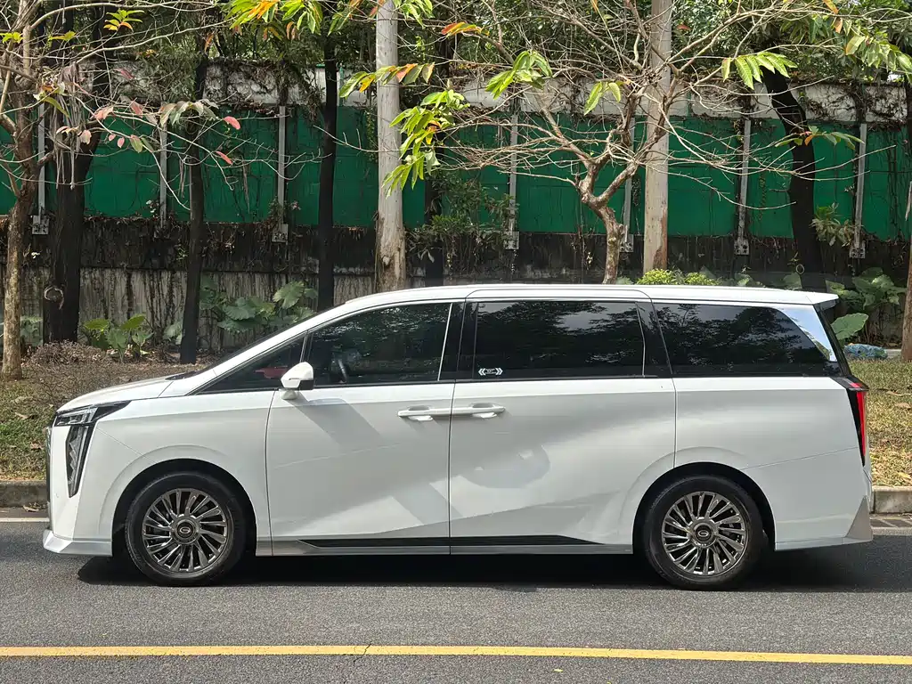GAC Motor Trumpchi M8 2023 — фото 13