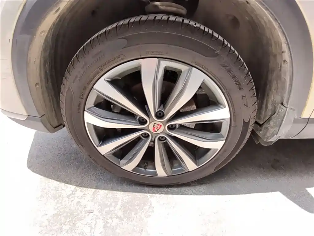 Roewe RX5 MAX 2020 — фото 23
