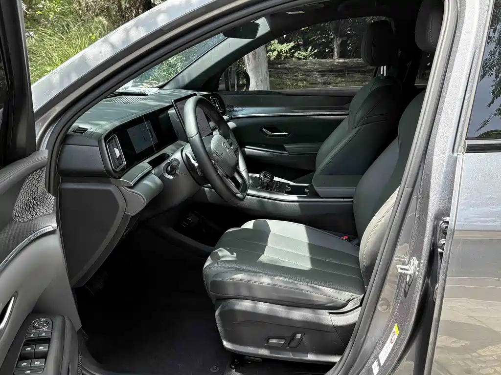 BYD Song Pro New Energy 2025 — фото 7