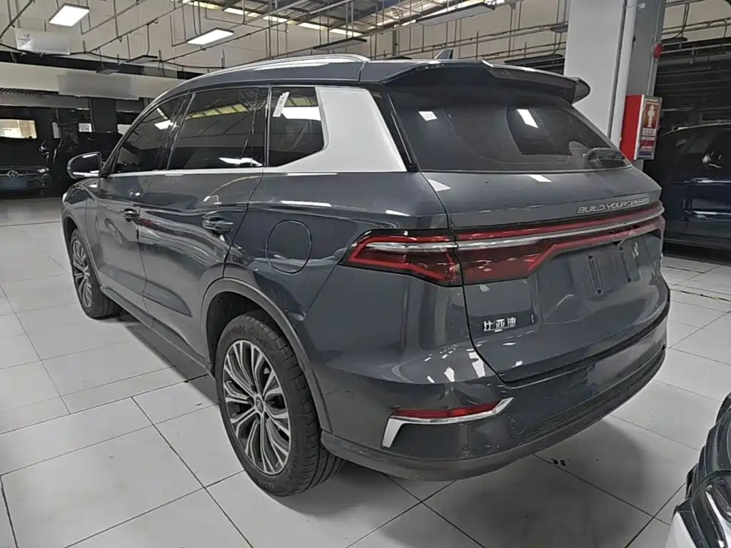 BYD Pro New Energy 2020