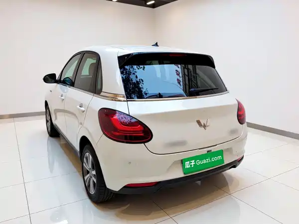 Wuling Bingo 2024