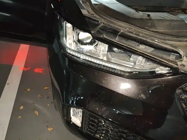 Wey VV6 2019